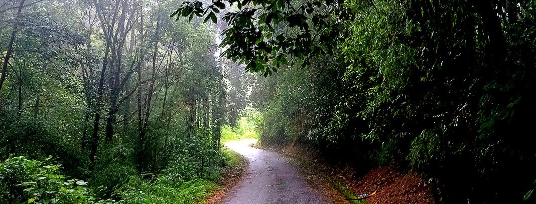 Gaddigaon