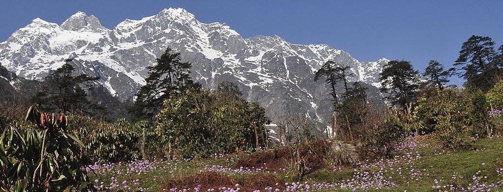 Yumthang Valley