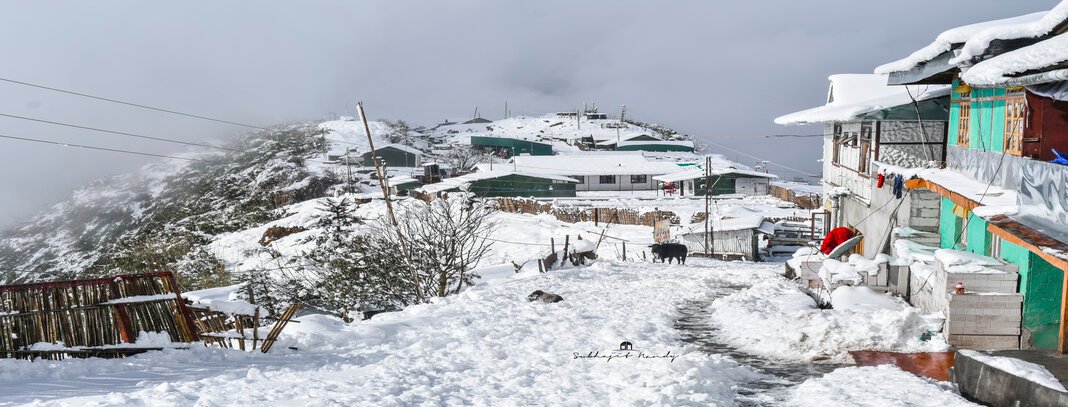Zuluk