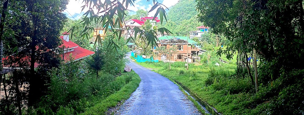 View From Homestay